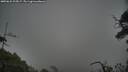./images/calvert/fitz-hugh-hecate/20250622/fitz-hugh-hecate20250622_205007M.jpg