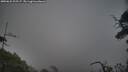 ./images/calvert/fitz-hugh-hecate/20250622/fitz-hugh-hecate20250622_205507M.jpg