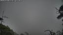 ./images/calvert/fitz-hugh-hecate/20250622/fitz-hugh-hecate20250622_210009M.jpg