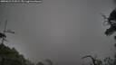 ./images/calvert/fitz-hugh-hecate/20250622/fitz-hugh-hecate20250622_211009M.jpg