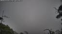 ./images/calvert/fitz-hugh-hecate/20250622/fitz-hugh-hecate20250622_212509M.jpg