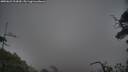 ./images/calvert/fitz-hugh-hecate/20250622/fitz-hugh-hecate20250622_213009M.jpg