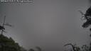 ./images/calvert/fitz-hugh-hecate/20250622/fitz-hugh-hecate20250622_213508M.jpg