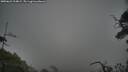 ./images/calvert/fitz-hugh-hecate/20250622/fitz-hugh-hecate20250622_214008M.jpg