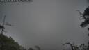 ./images/calvert/fitz-hugh-hecate/20250622/fitz-hugh-hecate20250622_214508M.jpg