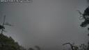 ./images/calvert/fitz-hugh-hecate/20250622/fitz-hugh-hecate20250622_215009M.jpg