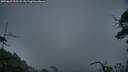 ./images/calvert/fitz-hugh-hecate/20250622/fitz-hugh-hecate20250622_215509M.jpg