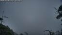 ./images/calvert/fitz-hugh-hecate/20250622/fitz-hugh-hecate20250622_220008M.jpg