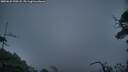 ./images/calvert/fitz-hugh-hecate/20250622/fitz-hugh-hecate20250622_220508M.jpg