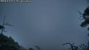 ./images/calvert/fitz-hugh-hecate/20250622/fitz-hugh-hecate20250622_221508M.jpg