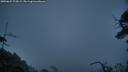 ./images/calvert/fitz-hugh-hecate/20250622/fitz-hugh-hecate20250622_222009M.jpg