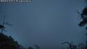 ./images/calvert/fitz-hugh-hecate/20250622/fitz-hugh-hecate20250622_222508M.jpg