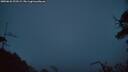 ./images/calvert/fitz-hugh-hecate/20250622/fitz-hugh-hecate20250622_223508M.jpg