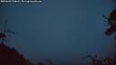 ./images/calvert/fitz-hugh-hecate/20250622/fitz-hugh-hecate20250622_224008M.jpg