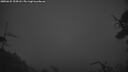 ./images/calvert/fitz-hugh-hecate/20250622/fitz-hugh-hecate20250622_225008M.jpg