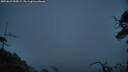 ./images/calvert/fitz-hugh-hecate/20250623/fitz-hugh-hecate20250623_044509M.jpg
