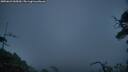 ./images/calvert/fitz-hugh-hecate/20250623/fitz-hugh-hecate20250623_045010M.jpg