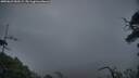 ./images/calvert/fitz-hugh-hecate/20250623/fitz-hugh-hecate20250623_050508M.jpg