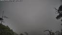 ./images/calvert/fitz-hugh-hecate/20250623/fitz-hugh-hecate20250623_052008M.jpg