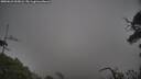 ./images/calvert/fitz-hugh-hecate/20250623/fitz-hugh-hecate20250623_055006M.jpg