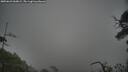 ./images/calvert/fitz-hugh-hecate/20250623/fitz-hugh-hecate20250623_060009M.jpg