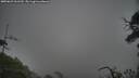 ./images/calvert/fitz-hugh-hecate/20250623/fitz-hugh-hecate20250623_061510M.jpg