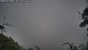 ./images/calvert/fitz-hugh-hecate/20250623/fitz-hugh-hecate20250623_063010M.jpg