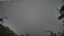 ./images/calvert/fitz-hugh-hecate/20250623/fitz-hugh-hecate20250623_063509M.jpg