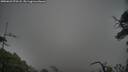 ./images/calvert/fitz-hugh-hecate/20250623/fitz-hugh-hecate20250623_070507M.jpg