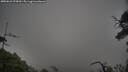 ./images/calvert/fitz-hugh-hecate/20250623/fitz-hugh-hecate20250623_075010M.jpg