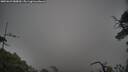 ./images/calvert/fitz-hugh-hecate/20250623/fitz-hugh-hecate20250623_080010M.jpg