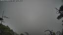 ./images/calvert/fitz-hugh-hecate/20250623/fitz-hugh-hecate20250623_082510M.jpg