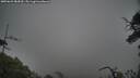 ./images/calvert/fitz-hugh-hecate/20250623/fitz-hugh-hecate20250623_084510M.jpg