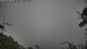 ./images/calvert/fitz-hugh-hecate/20250623/fitz-hugh-hecate20250623_085010M.jpg