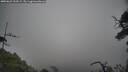 ./images/calvert/fitz-hugh-hecate/20250623/fitz-hugh-hecate20250623_100509M.jpg