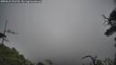./images/calvert/fitz-hugh-hecate/20250623/fitz-hugh-hecate20250623_101510M.jpg