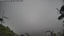 ./images/calvert/fitz-hugh-hecate/20250623/fitz-hugh-hecate20250623_102510M.jpg