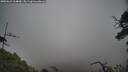 ./images/calvert/fitz-hugh-hecate/20250623/fitz-hugh-hecate20250623_104010M.jpg