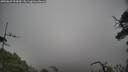 ./images/calvert/fitz-hugh-hecate/20250623/fitz-hugh-hecate20250623_104510M.jpg