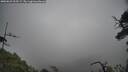 ./images/calvert/fitz-hugh-hecate/20250623/fitz-hugh-hecate20250623_105509M.jpg