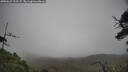 ./images/calvert/fitz-hugh-hecate/20250623/fitz-hugh-hecate20250623_113507M.jpg