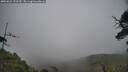 ./images/calvert/fitz-hugh-hecate/20250623/fitz-hugh-hecate20250623_120510M.jpg