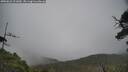 ./images/calvert/fitz-hugh-hecate/20250623/fitz-hugh-hecate20250623_121009M.jpg