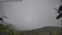 ./images/calvert/fitz-hugh-hecate/20250623/fitz-hugh-hecate20250623_122008M.jpg
