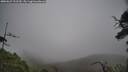 ./images/calvert/fitz-hugh-hecate/20250623/fitz-hugh-hecate20250623_122510M.jpg