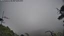 ./images/calvert/fitz-hugh-hecate/20250623/fitz-hugh-hecate20250623_123510M.jpg