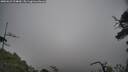 ./images/calvert/fitz-hugh-hecate/20250623/fitz-hugh-hecate20250623_124009M.jpg