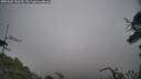 ./images/calvert/fitz-hugh-hecate/20250623/fitz-hugh-hecate20250623_130510M.jpg