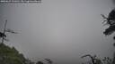 ./images/calvert/fitz-hugh-hecate/20250623/fitz-hugh-hecate20250623_131009M.jpg