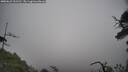 ./images/calvert/fitz-hugh-hecate/20250623/fitz-hugh-hecate20250623_131510M.jpg